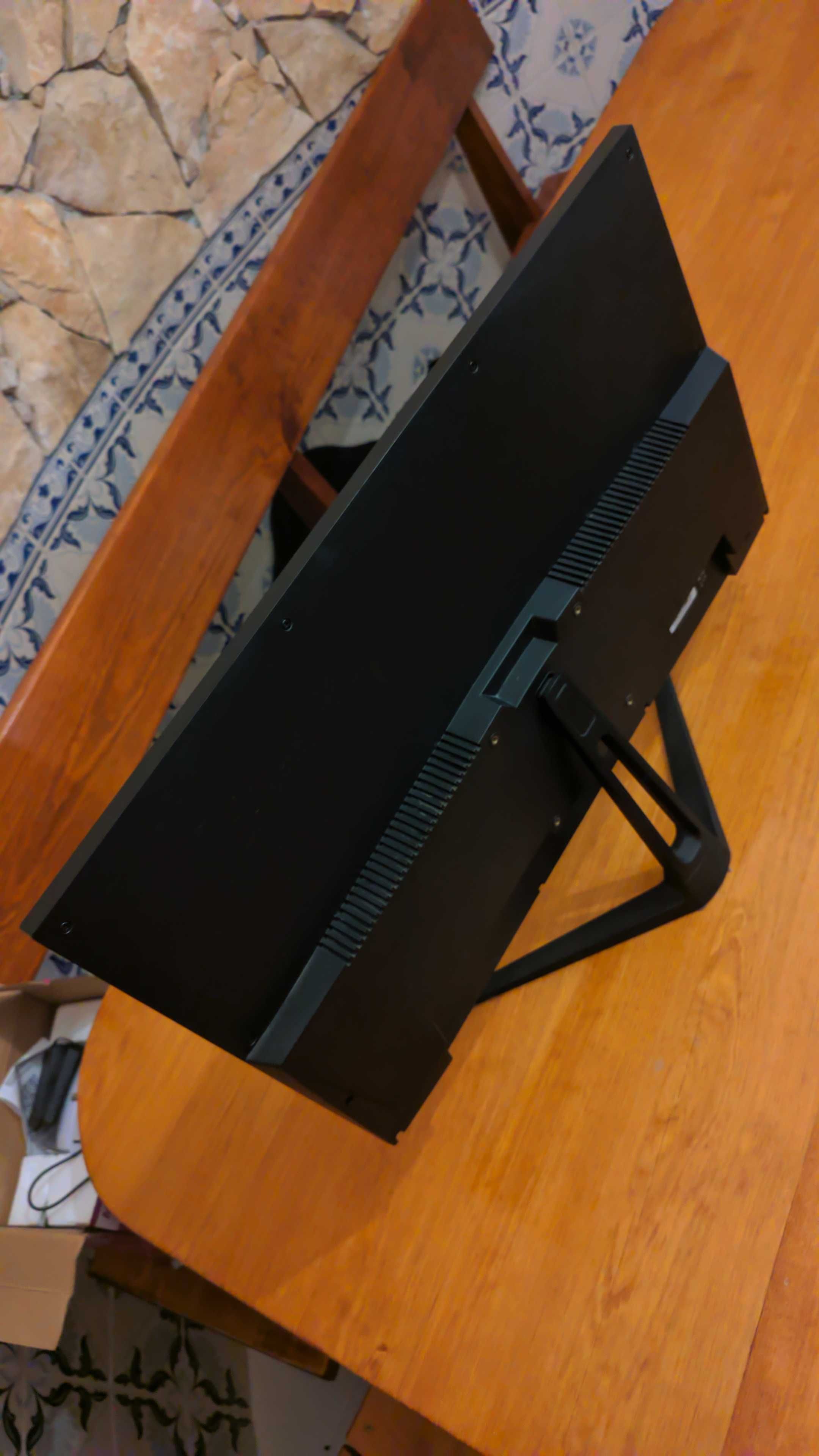 Ozone 244HZ monitor