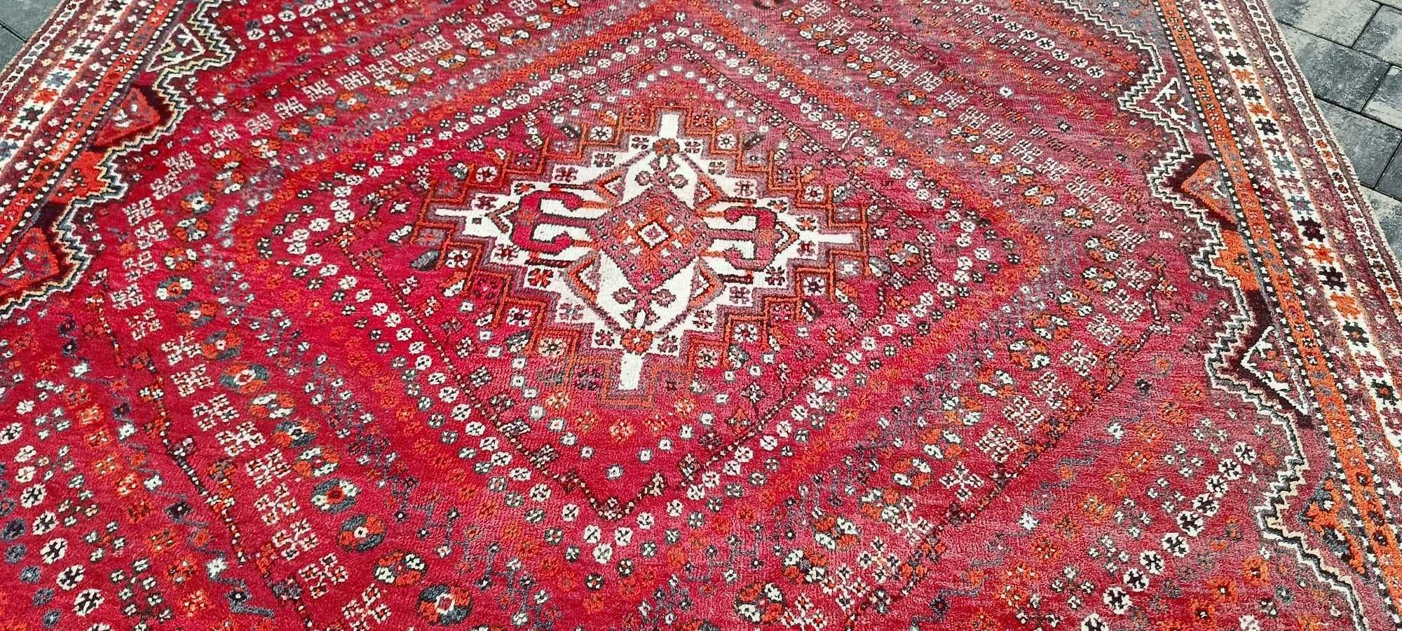 Shiraz dywan wełniany perski Iran tkany ręcznie 313 x 215 cm wełna