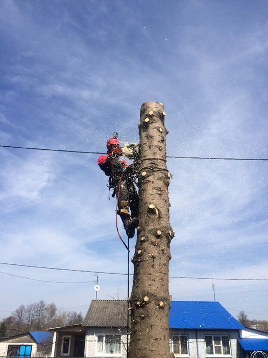 wycinka drzew, prace ogrodowe, usuwanie śmieci, skaryfikacja trawników