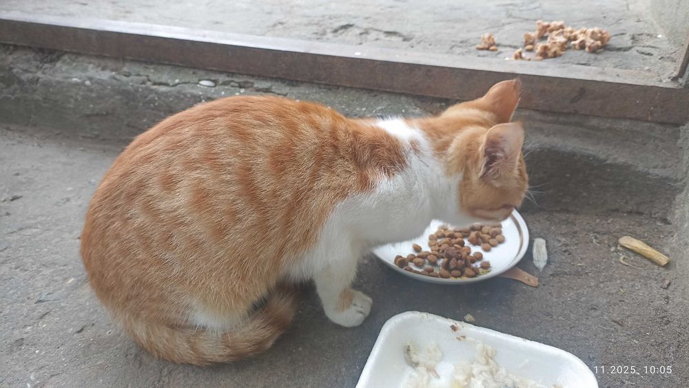 Срочно! Маленкое солнышко ищет любящую семью