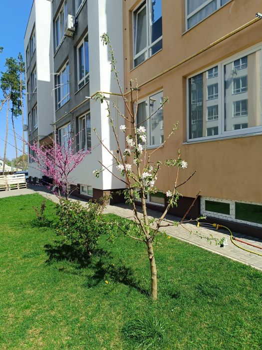 ЖК Идея, Бортничи 1комнатная. Цена под ключ!