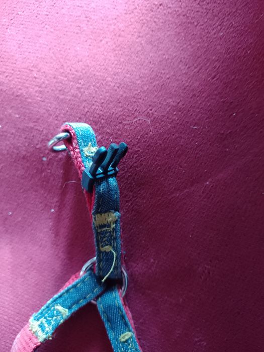 Повідець котику до 8 кг ваги тварини