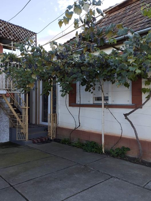 Продам дом Закарпатье Боржава