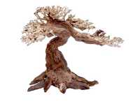 Украшения для аквариума декор Amtra - Східний вітер дерево 30х10х20СМ