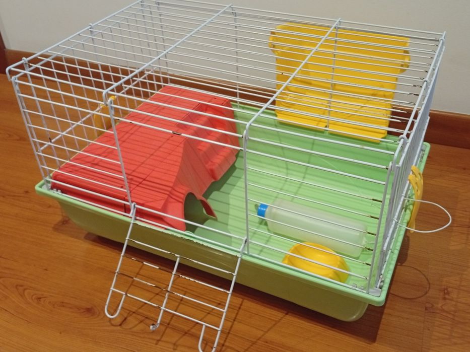 Gaiola para porquinho da Índia