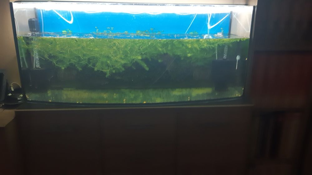 Sprzedam lub zamienię akwariumy 205 litrów 120 cm szerokość