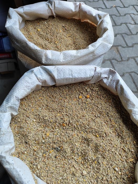 Корм для того щоб кури добре неслися