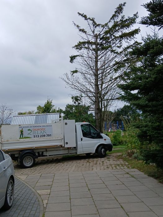 Przycinanie drzew,wycinki terenów zaleśonych