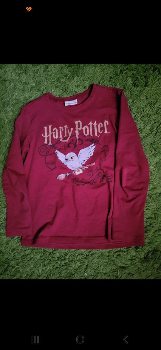 Bluza coccodrillo