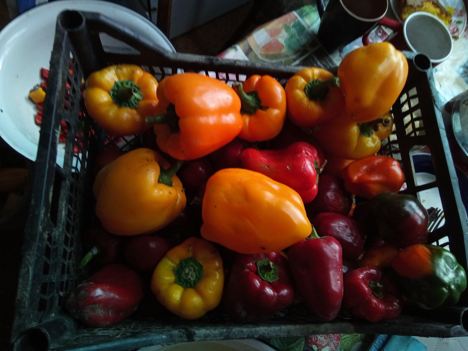 Продам великий будинок!