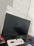 Monitor predator