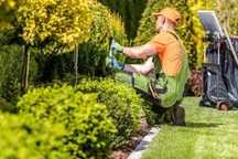 Fazemos limpeza e manutenção de Jardins e todo.o tipo de terrenos