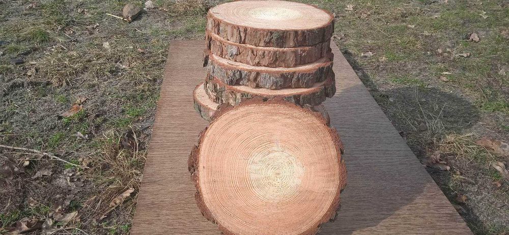 Plastry drewna, 10 szt, 20-25 cm, dekoracje , na stroiki