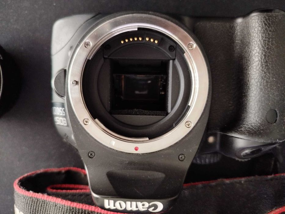 Canon eos 550d sem lente