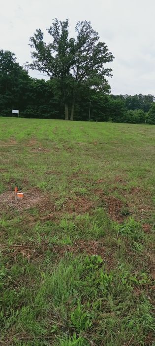 Sprzedam działki  przy lesie  w Trzebiechowie