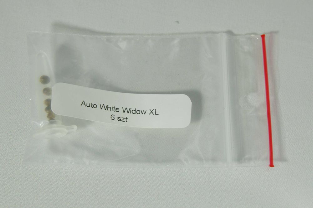 Nasiona konopi White Widow XXL Auto - 6 sztuk