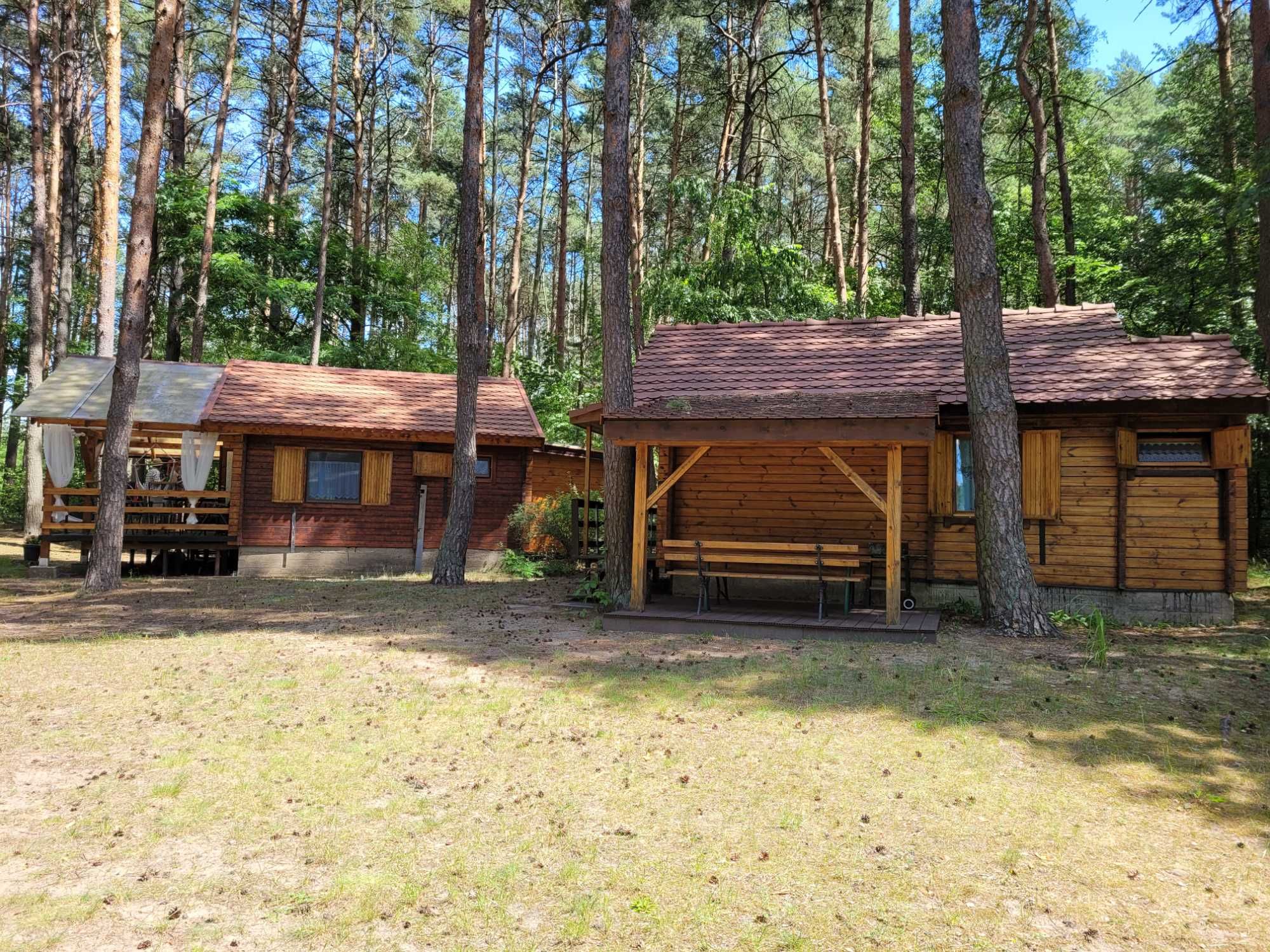 Domek letniskowy nad jeziorem -Trzcianka - wynajem