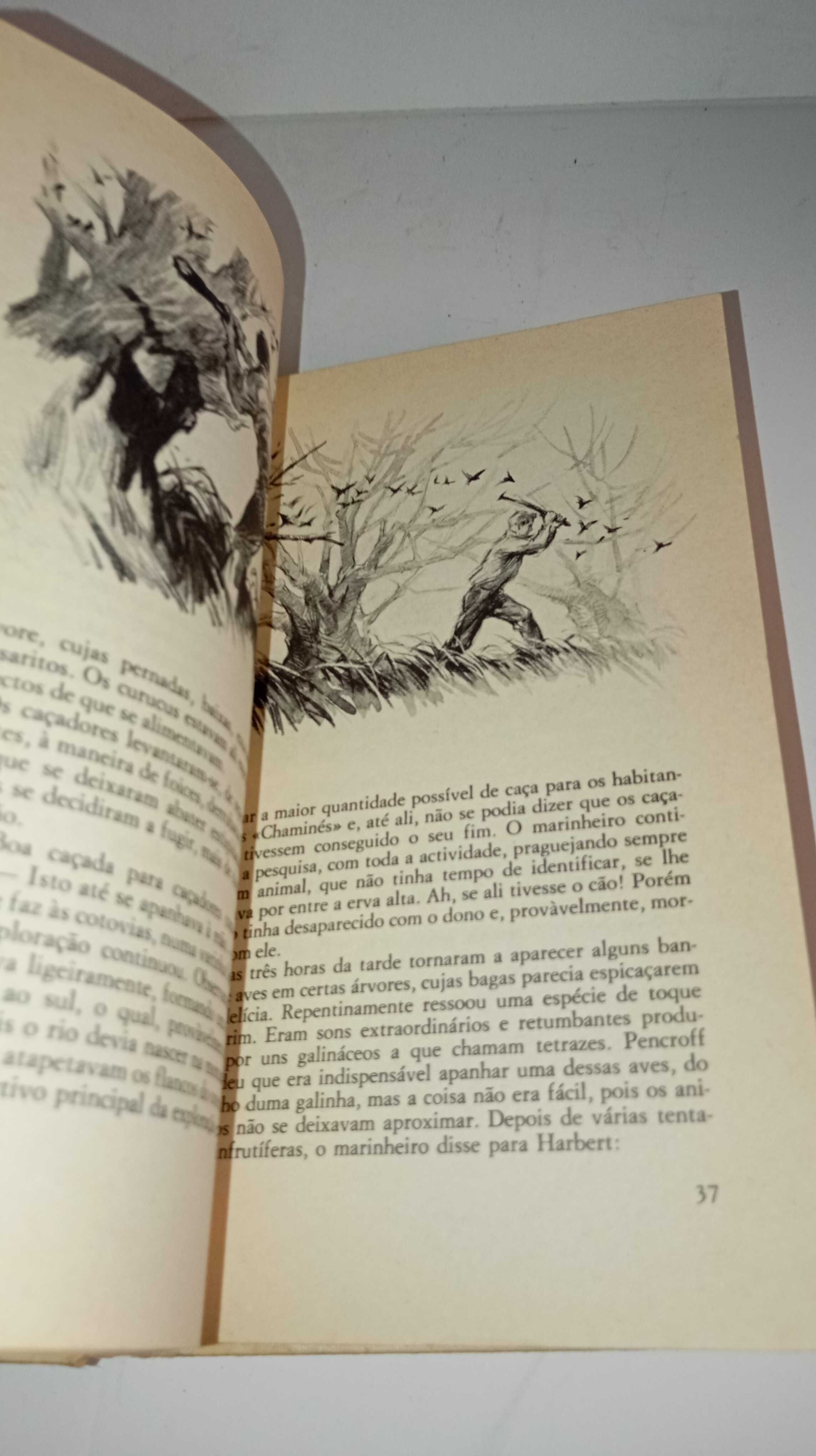 A Ilha Misteriosa