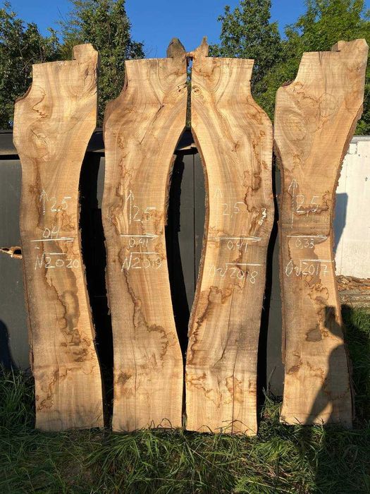 Розпродаж Слеб, сляб, орех, акация корінь ореха поперечний срез