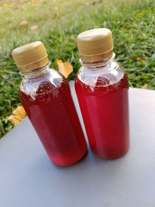 Гарбузова олія власного виробництва