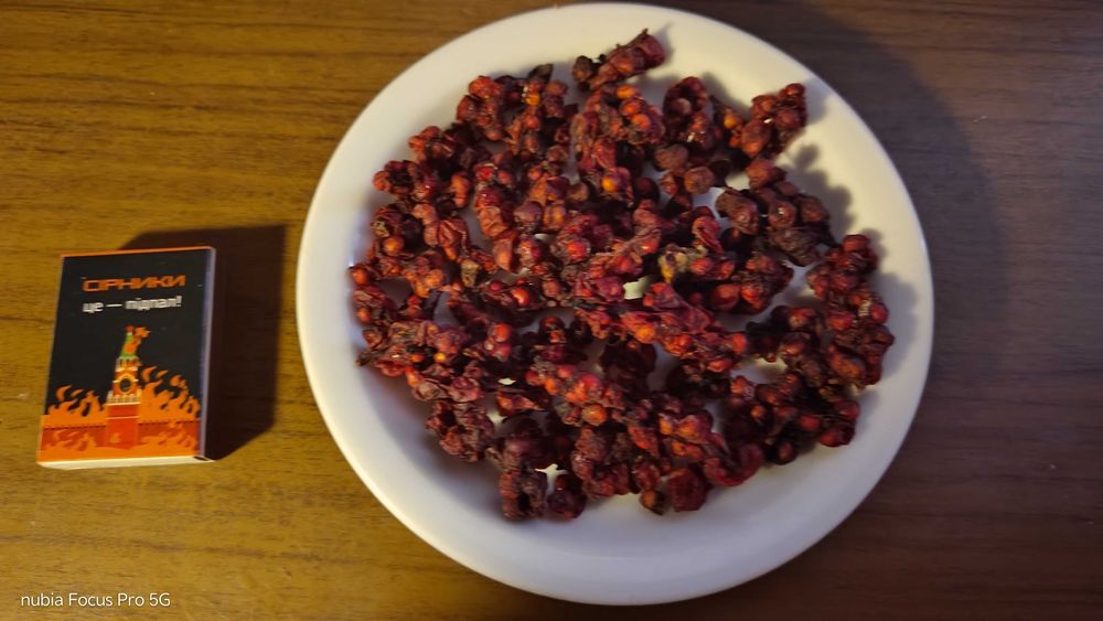 Лимонник сушений з власного саду