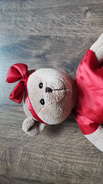 Miś Aga TVN kolekcjonerski