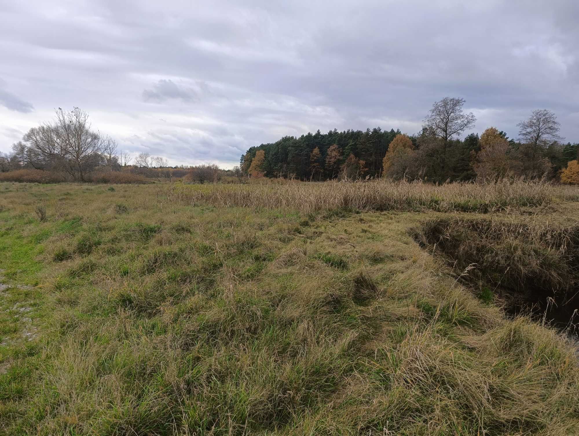 DZIAŁKA Z BEZPOŚREDNIĄ LINIĄ Brzegową rzeki Bobrza - Raj dla Wędkarza