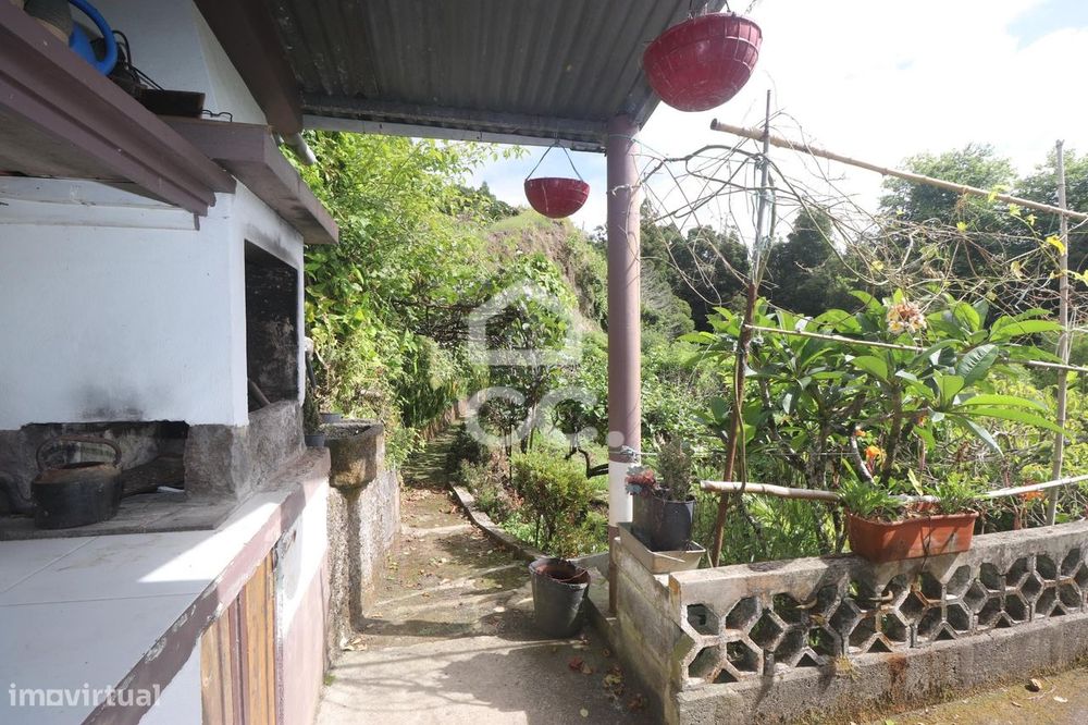 Quinta com Árvores de Fruto com 6.233,00 m2 - Povoação