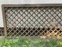 Płot ogrodowy drewniany pergola