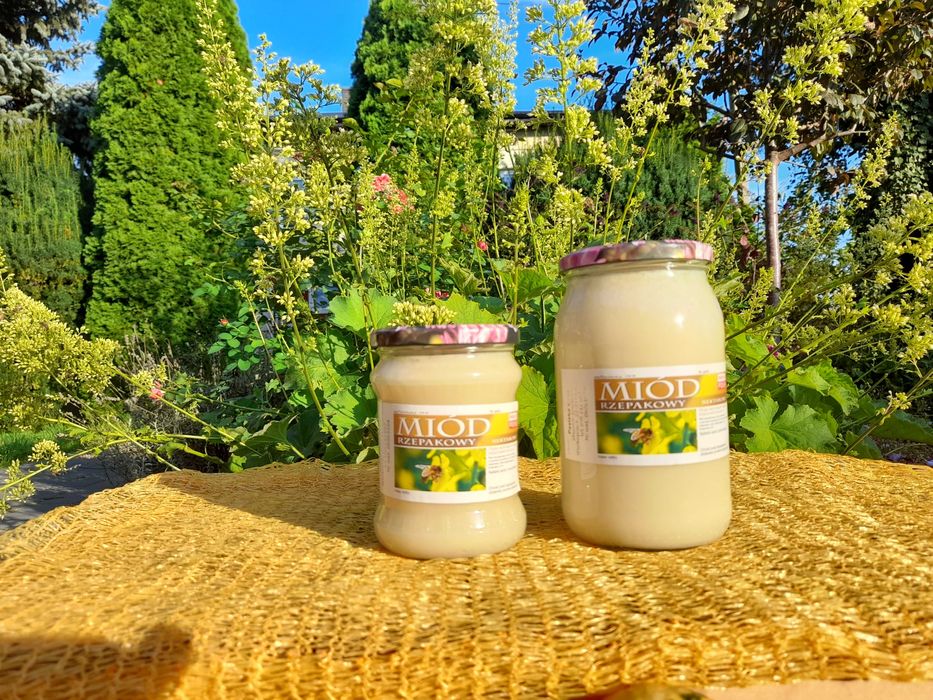 Miód rzepakowy 100 % naturalny 2025 r.