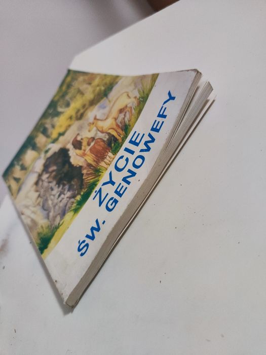 Życie św. (świetobliwej) Genowefy dla matek, dzieci i uczciwych ludzi