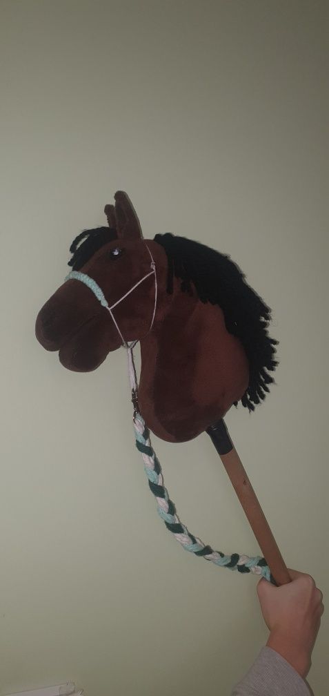 Hobby horse gniady