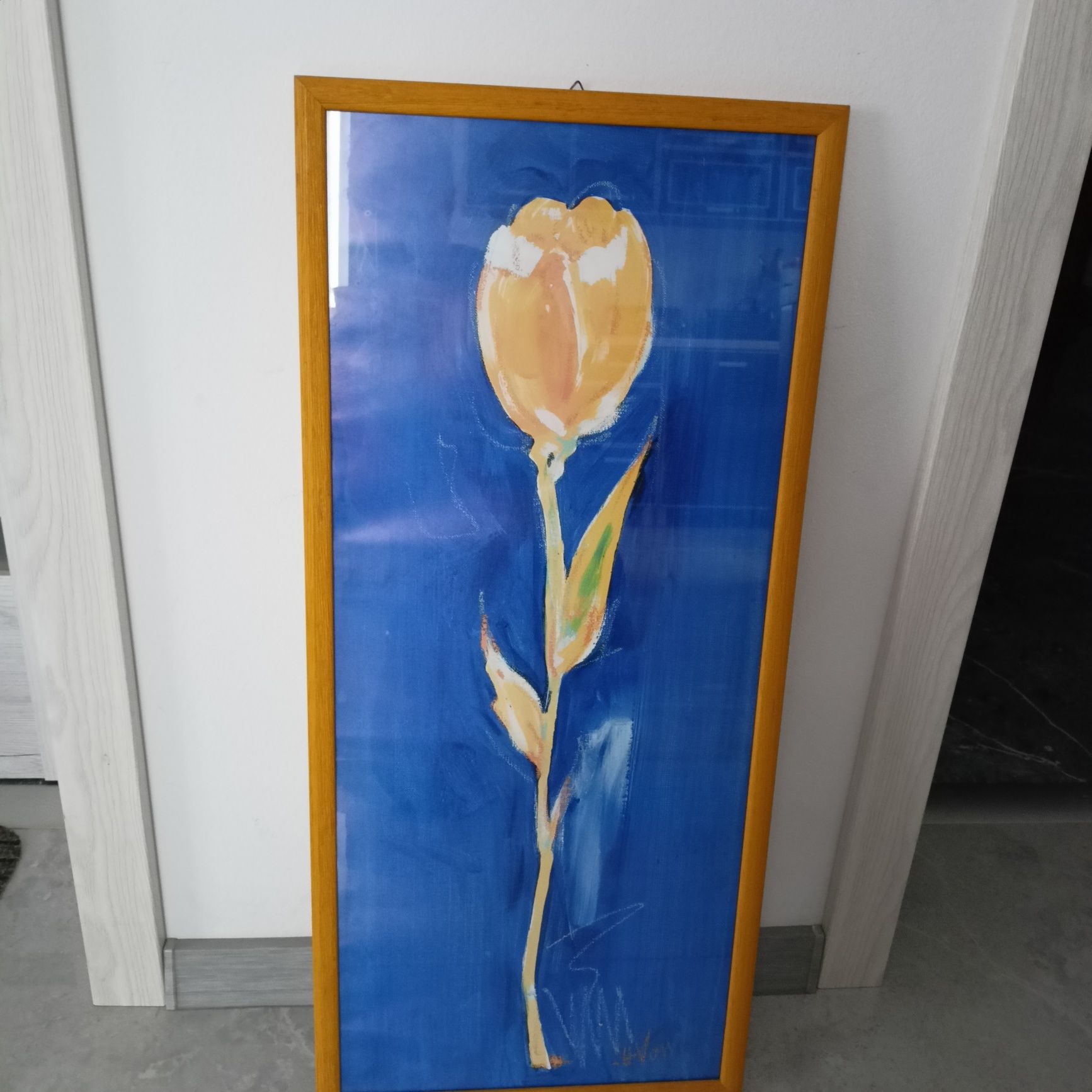 Obraz tulipan 73x33