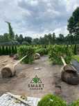 OGRODY - Trawniki - Automatyczne NAWADNIANIE 2025 - SMART GARDEN