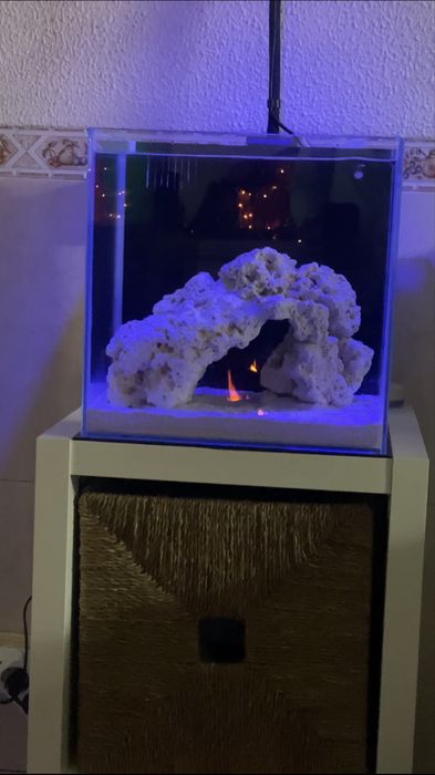 Aquário Cubo 30x30 Com Sump Traseira