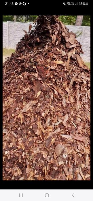 Kora Sosnowa ogrodowa