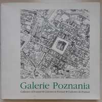 Galerie Poznania sztuka malarstwo rzeźba Poznań galeria