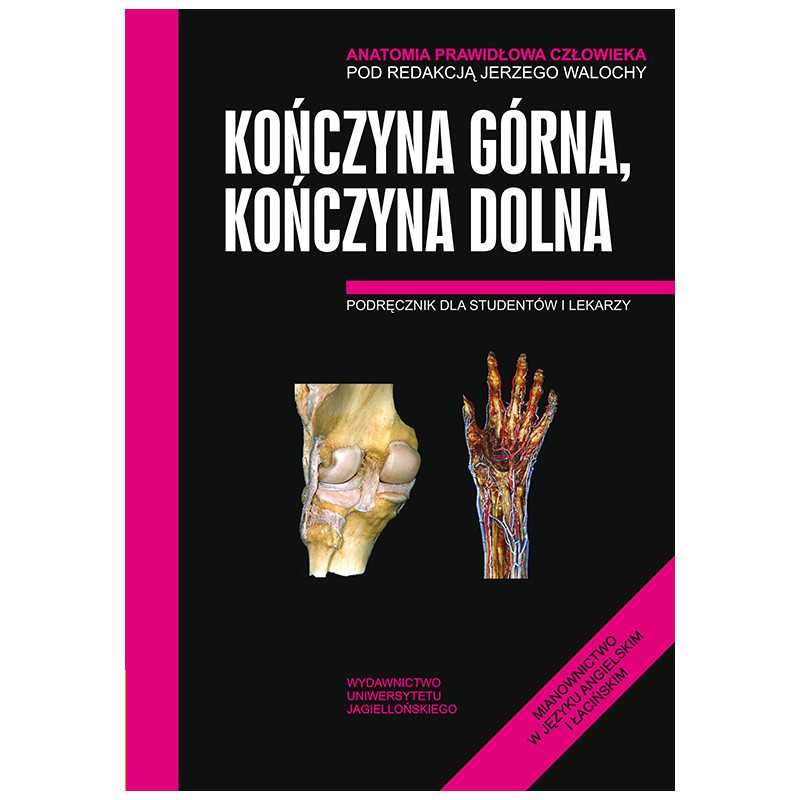 Anatomia Skawina Kończyna górna i dolna Książka NOWA NaMedycyne