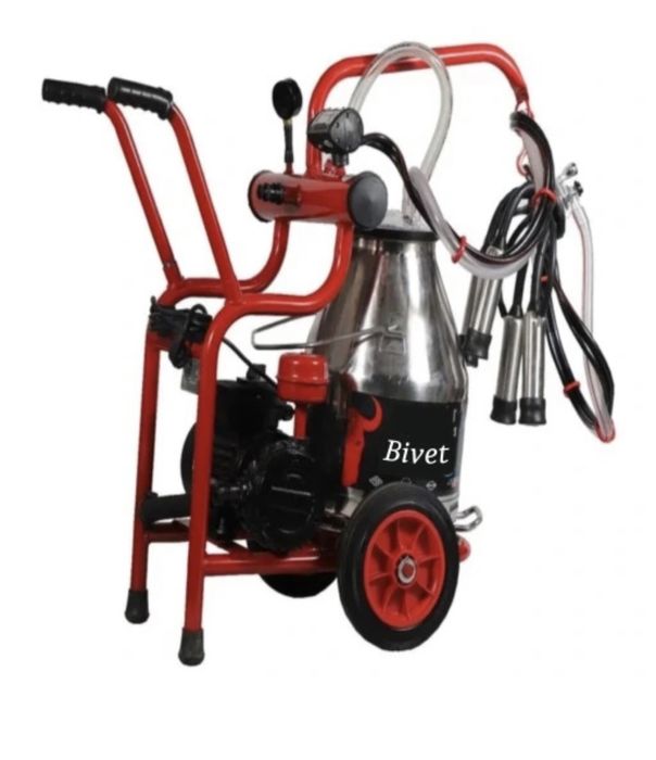 Dojarka konwiowa dla 2 kóz Bivet