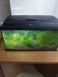 Akwarium aquael 54 l