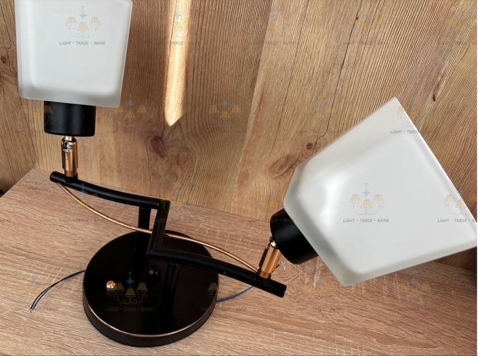 Люстра на 2 лампочки з направляючими плафонами