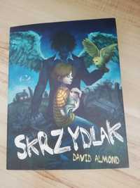 David Almond "Skrzydlak"