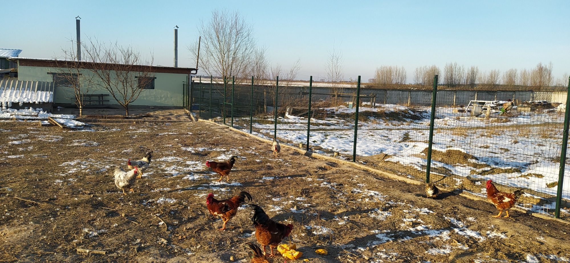 Продаж Фермерського господарства під КиєвОм!