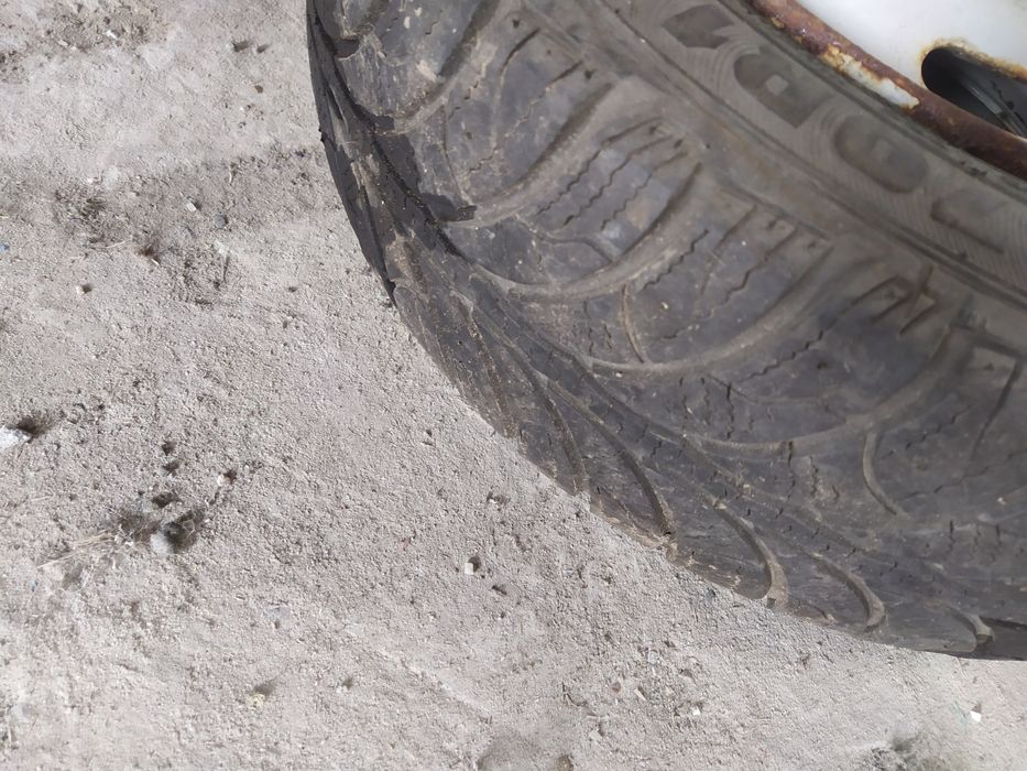 Шина резина 175/70 R13 Rosava WQ102