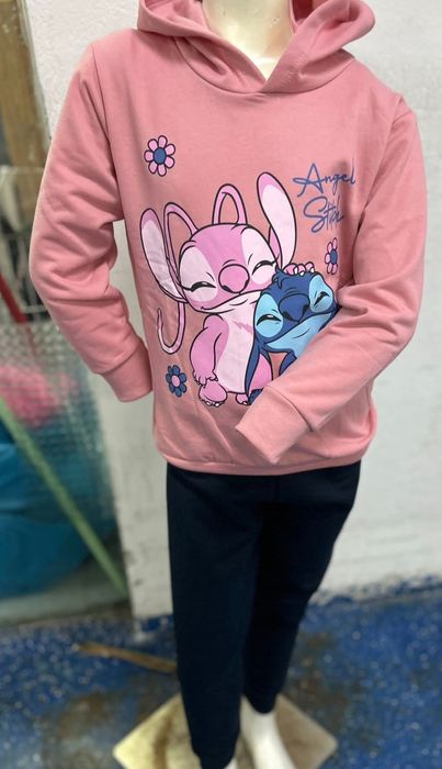 Fatos treino labubus e Stitch