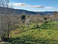 Terreno com viabilidade Construtiva (saneamento, luz, água e fibra-óti