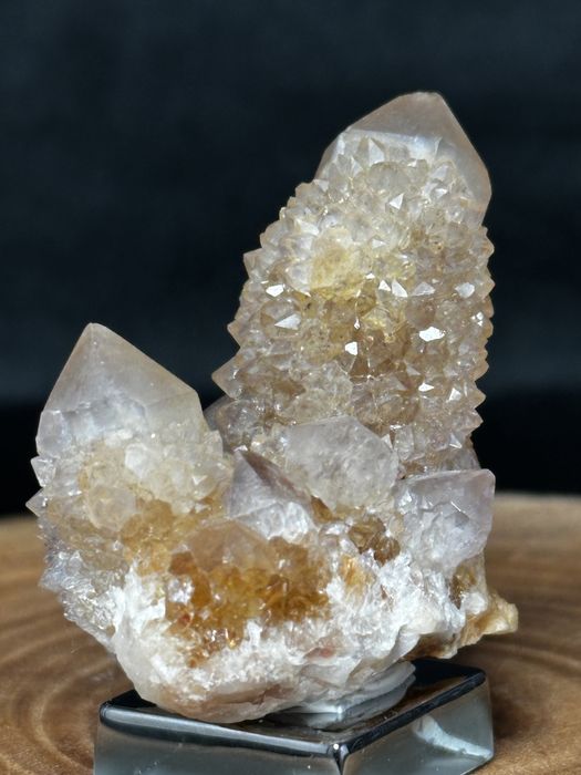 Kwarc kaktusowy, limonit - RPA