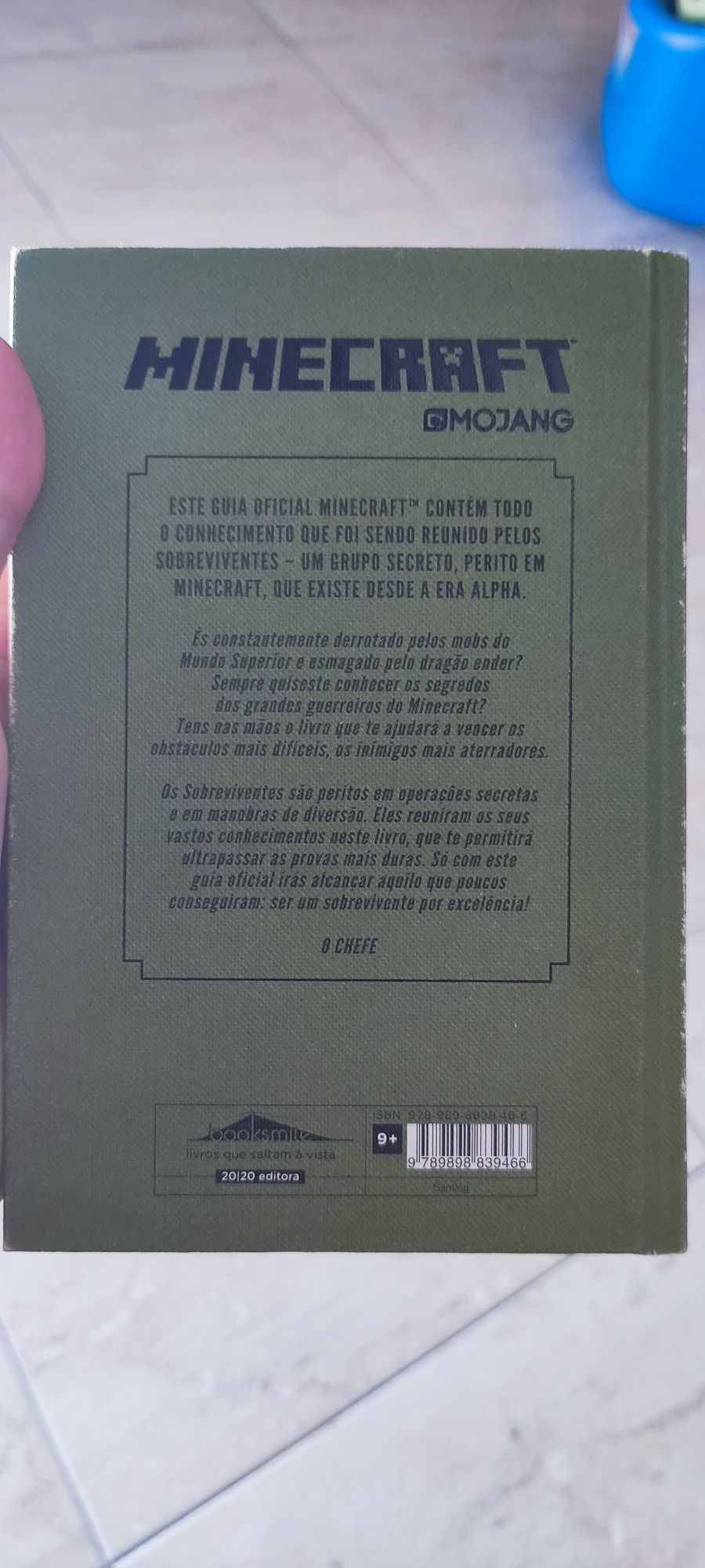 O livro secreto dos sobreviventes, Minecraft