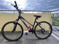 Rower Unibike Flash damski