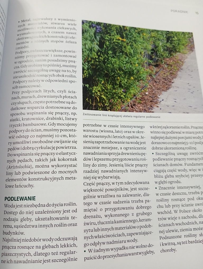 Pnącza Szczepan Marczyński